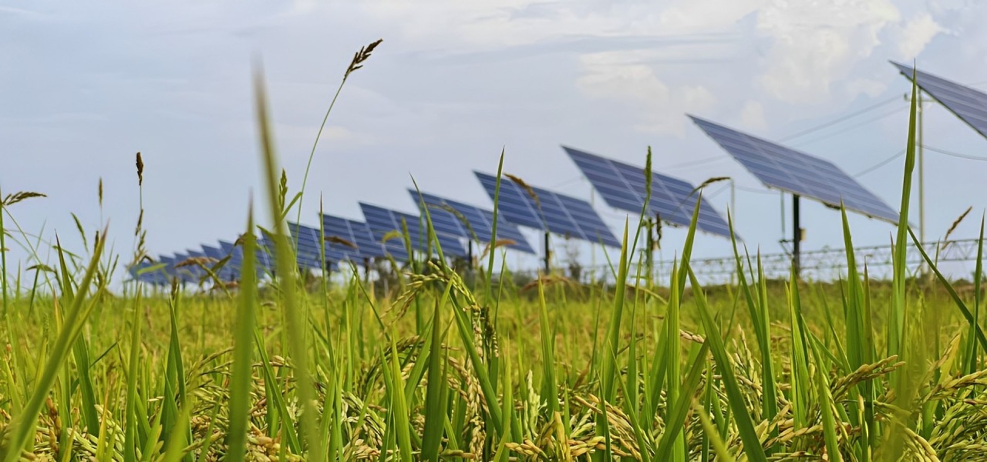 Solar-powered water pumping station